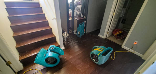 Water damage restoration mold remediation in Beacon, NY