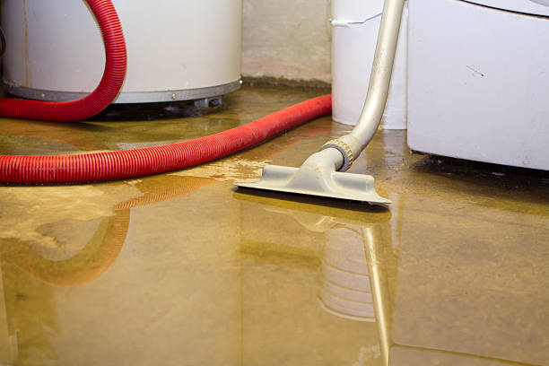 Best Fire Damage Restoration  in Beacon, NY