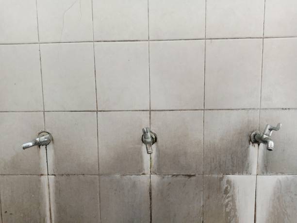 Best Local water damage restoration  in Beacon, NY