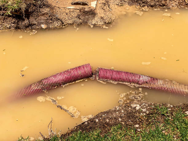 Best Water damage restoration mold remediation  in Beacon, NY
