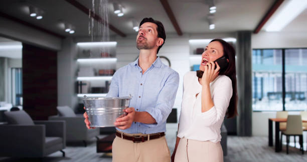 Best Water damage contractors near me  in Beacon, NY