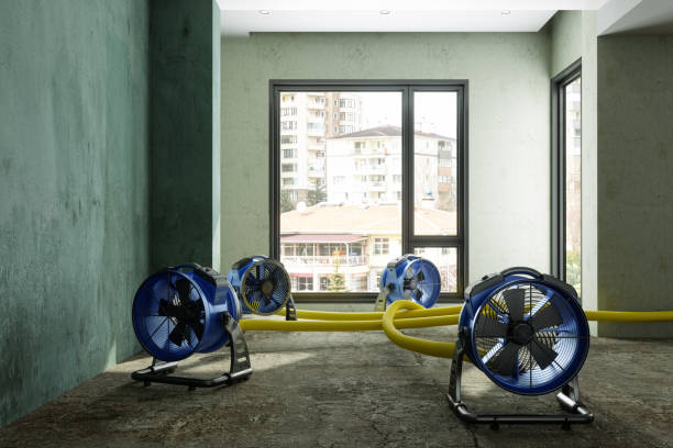 Trusted Beacon, NY Water damage restoration Experts