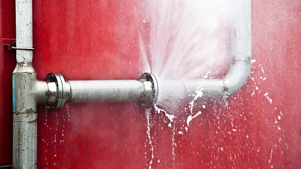 Best Carpet water damage restoration  in Beacon, NY