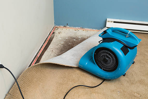 Best Water damage restoration near me  in Beacon, NY